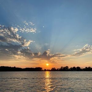 Meet your Posher, Wilma